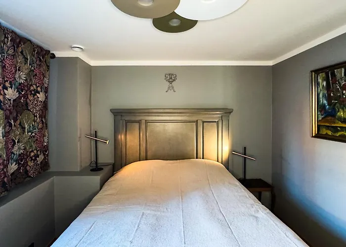 Lossipark Guest - Vis-a-vis Bishop's Castle Apartment *